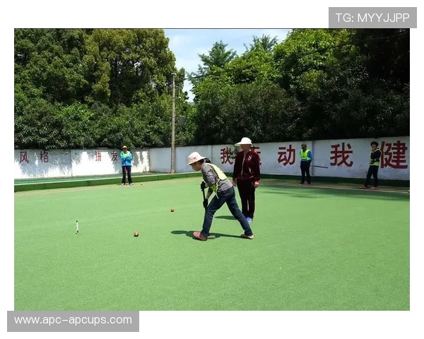 第三届南东杯沪启门球联谊邀请赛举办展现门球魅力促进地区交流